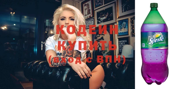 хмурый Богородицк