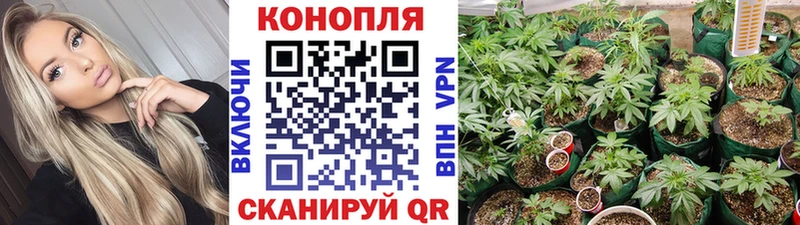Бошки Шишки тримм Новотроицк